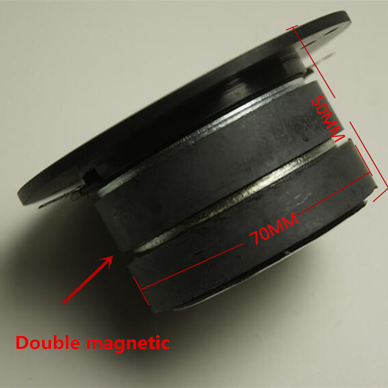1 Pc 4 Inch Tweeter 8 Ohms 100 W Double Magnetic Speaker Fever Grade Silk Film High Sound Bright KTV Tweeter