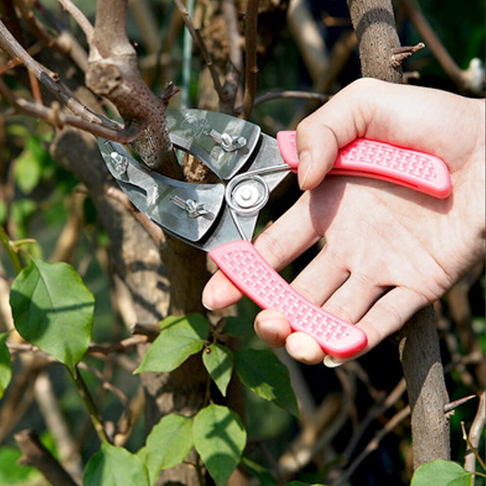 RDDSPON Ring Shaped Fruit Tree Peeler Bark Stripping Cutting Stainless Steel Grafting Tool Garden Orchard Tools Branch Shears
