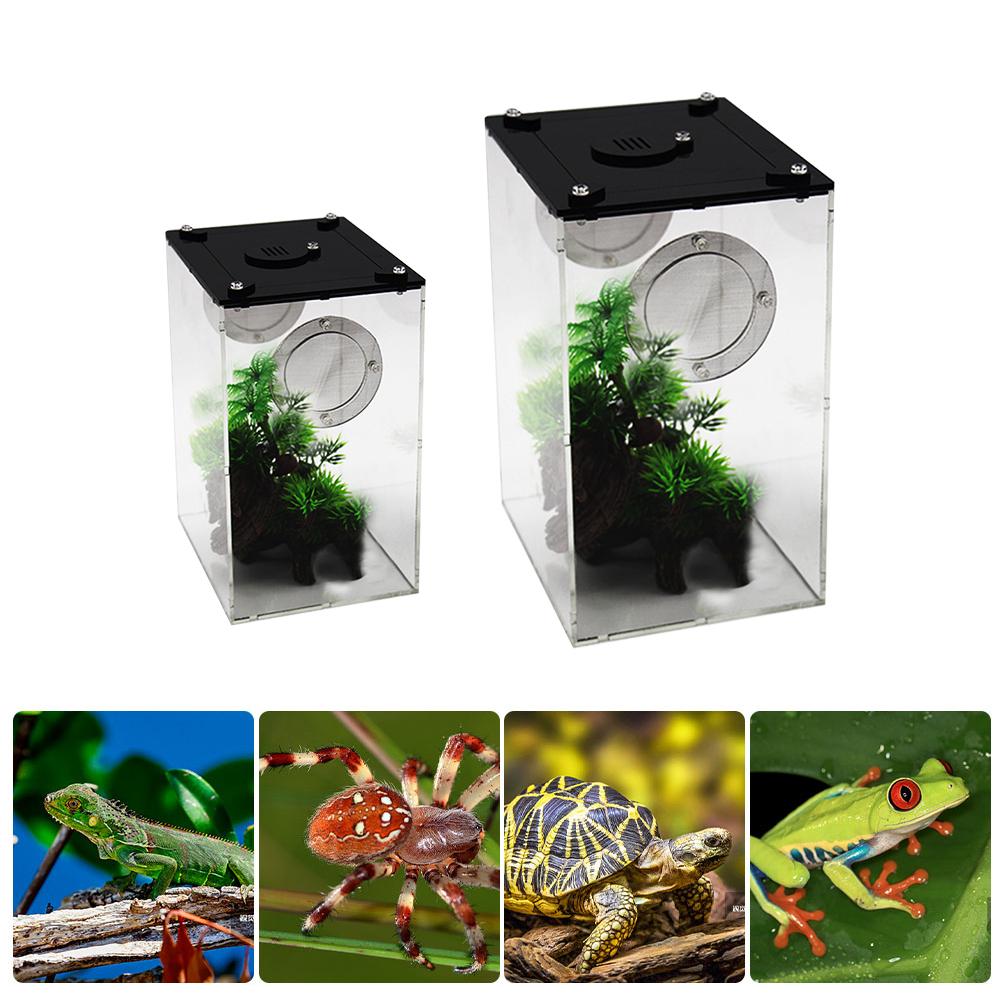 Boîte d'alimentation Reptile acrylique Transparent Panorama insecte nichoir serpent araignée lézard Scorpion boîte d'alimentation