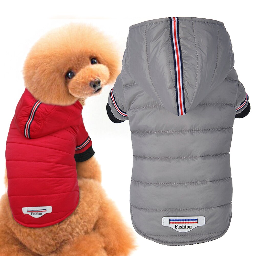 Kleine Hond Kleding Winter Chihuahua Kleding Huisdier Jas en Jas Waterdicht ropa para perros voor Kleine Middelgrote Hond Rood