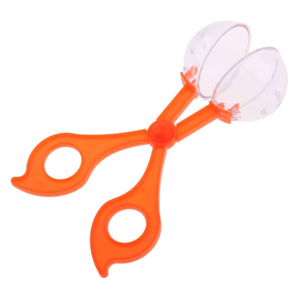 Terrario para reptiles de plástico de 14,5 cm, herramienta de limpieza transparente para residuos de peceras, heces, escarabajos, lagartijas e insectos, abrazadera, tijeras