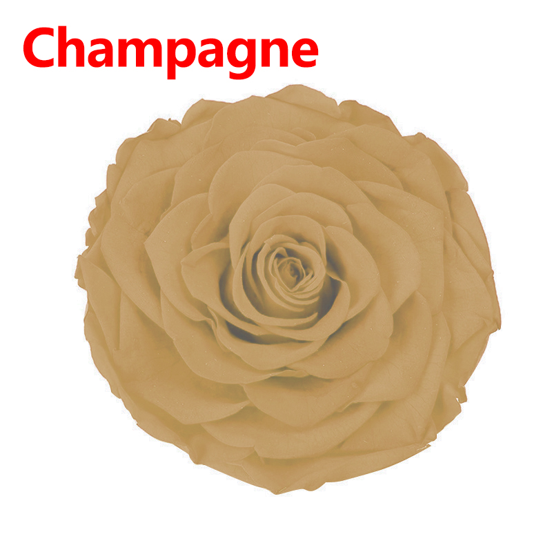 8 Stks/doos Bewaard Rose Bloemen Onsterfelijke Rose 5Cm Diameter Moeders Dag Diy Bruiloft Eeuwige Leven Bloem Materiaal: 8