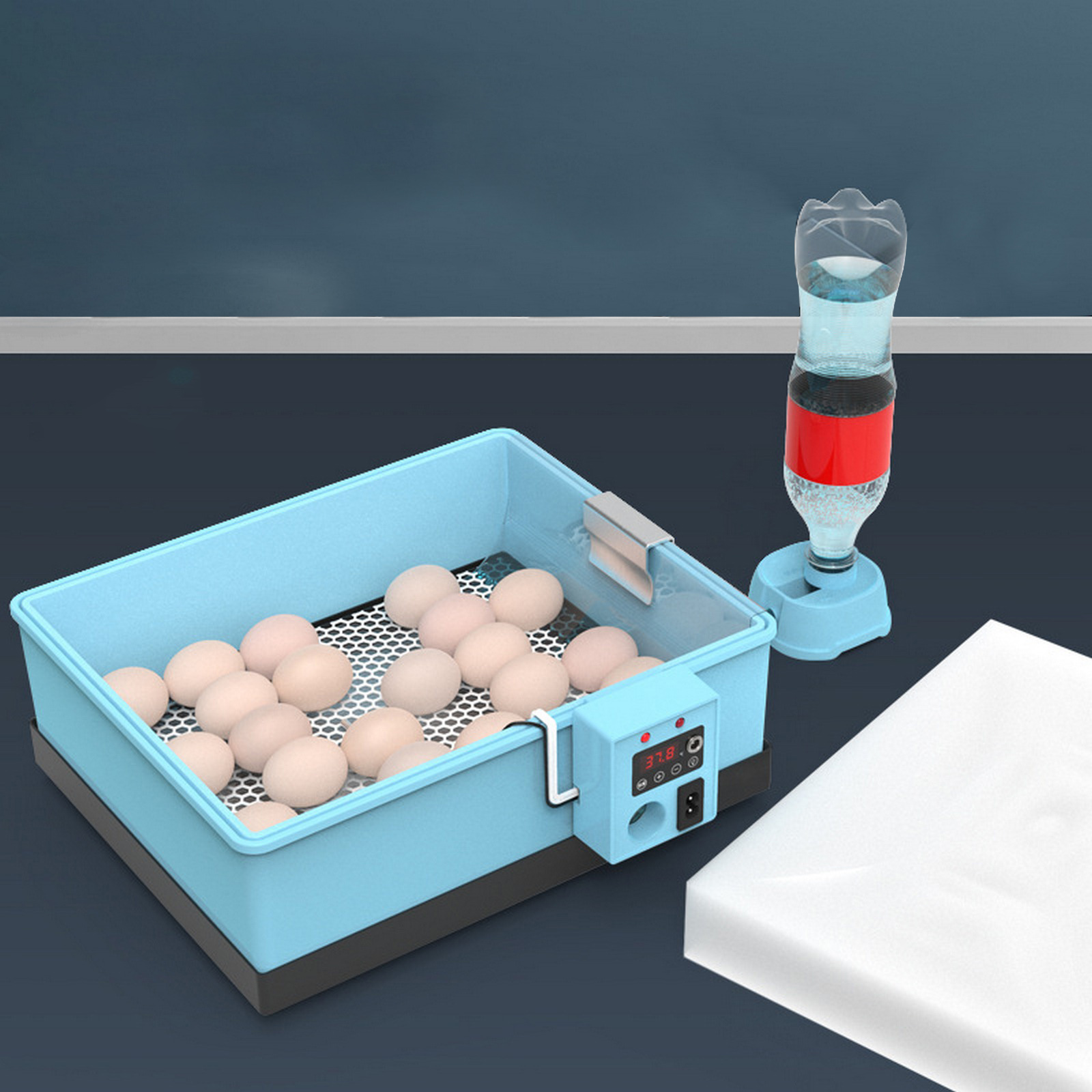 20-66 Eggs Incubator Brooder Bionic Waterbed Goose Duck Quail Pigeon Poultry Brooder Automatic Farm Hatchery Tool: Upgrade / 66 eggs