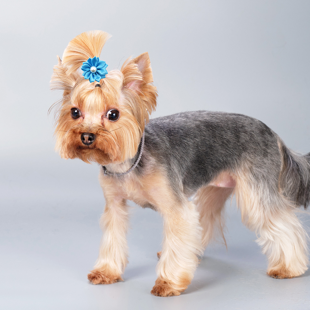 50/100/200 Uds. Banda de goma de flores, lazos para el pelo de perro, accesorios para el cabello de gato con perlas, lazos para el pelo para el cuidado de perros y gatos, lazo para topete para mascotas