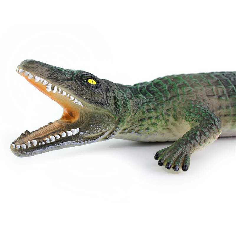 Zachte Krokodil Model Krokodil Simulatie Model Krokodil Wetenschap En Onderwijs Kinderen Speelgoed