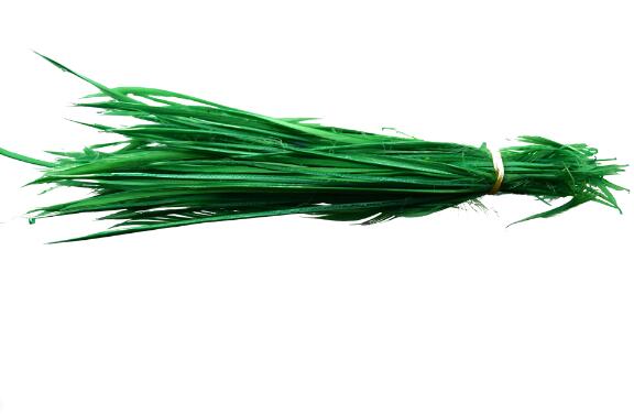100 pièces teinture colorée coiffure indienne cheveux étendre plumes d'oie bricolage fête mariage broche accessoires tête ornements: grass green