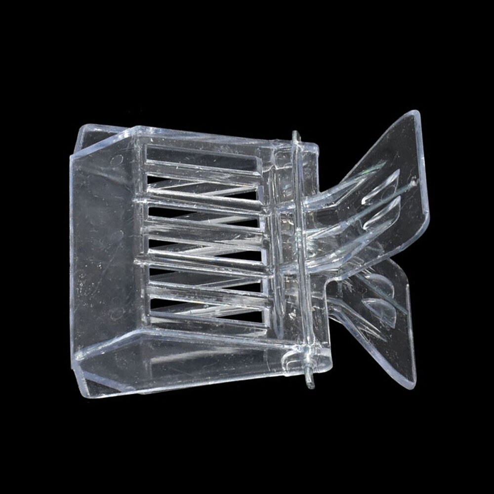Attrape-abeille reine, 50 pièces, Cage à Clip en plastique transparent incolore, équipement apiculteur, outil de salle d&#39;isolation