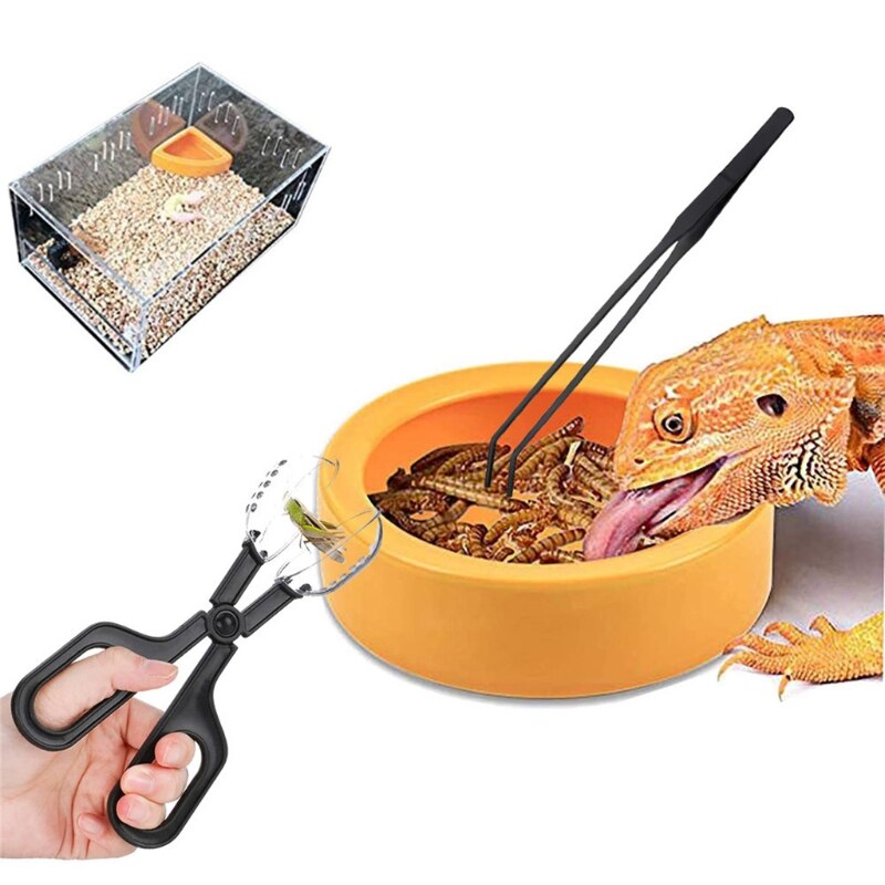 Reptile Cleaning Tools with Vents Amphibian Feeding Tongs Worm Dishes 5 Pack Feeding Tools for Fish Aquariums