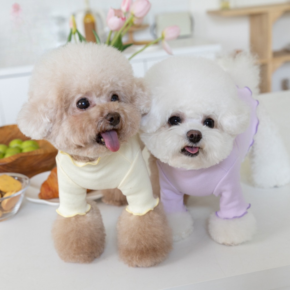 Jesienno-zimowe bluzy z kapturem dla zwierząt z haftowaną koronkową podstawą Pet Candy Colored Haftowane ubrania dla psów Teddy dla małych psów