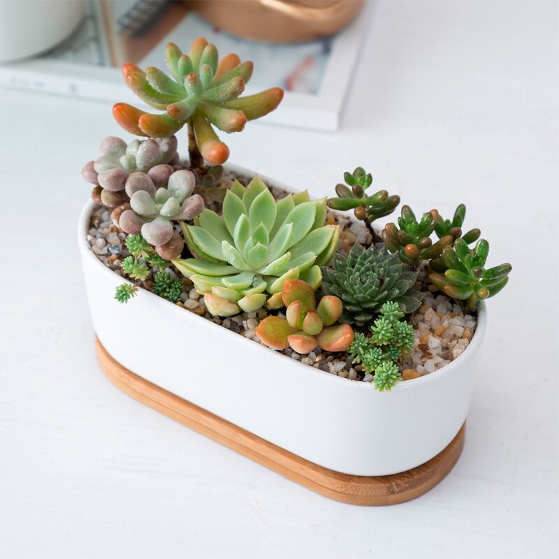 Minimalist Simple White Desktop White Ceramic Flowerpot With Bamboo Tray Succulent Plant Pot Cactus Planter Flower Pot