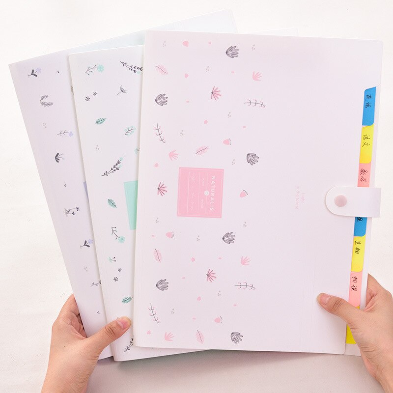 DELI File Folder Expanding Wallet Kawaii Pupil Test Paper Storage and Organizer Bag Office Document Bag Display Book File Folder