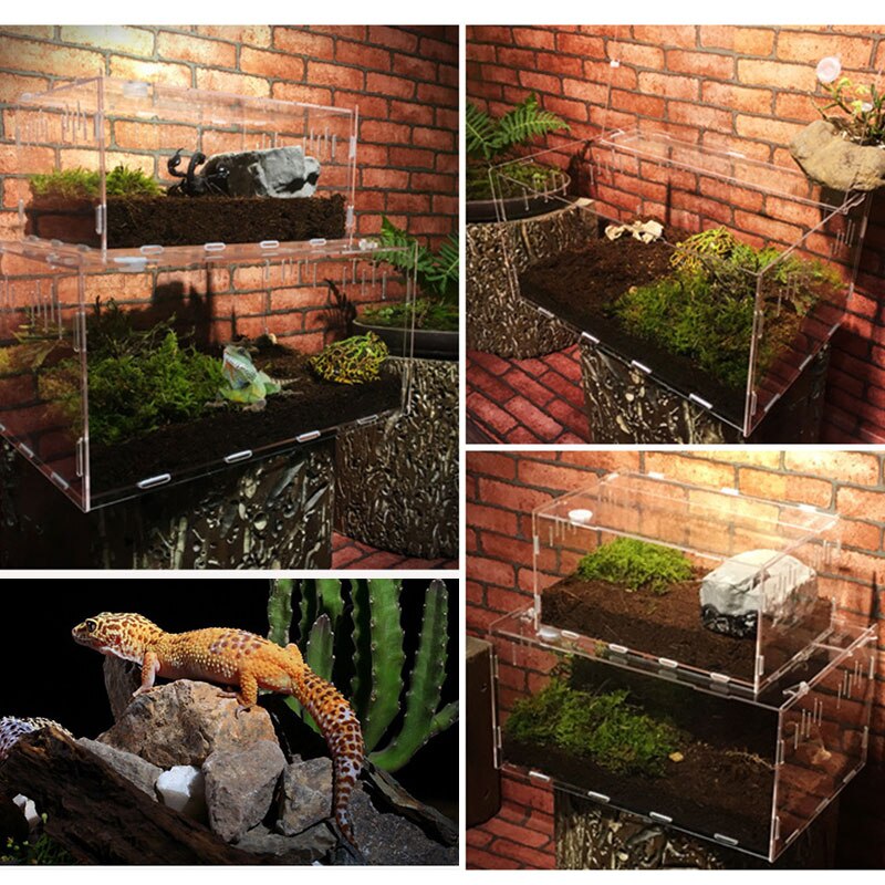 Soledi Acryl Transparant Terrarium Reptielen Living Doos Reptiel Terrarium Habitat Voor Scorpion Spider Mieren Kameleon Hagedis