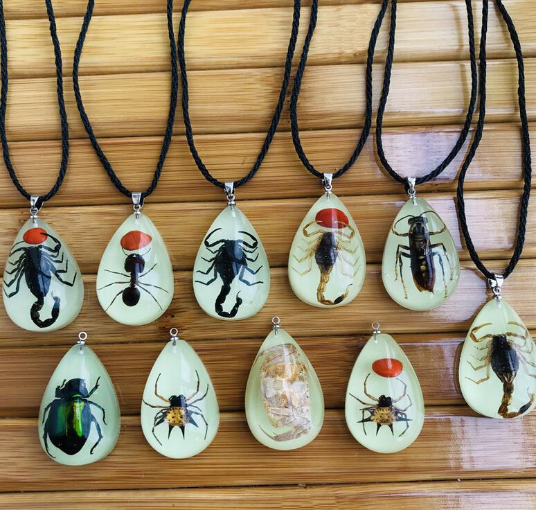 Resin Insect Charms Necklace Luminous Insects Amber Pendant Rope Necklaces Scorpion Ant Stalls Manufacturers