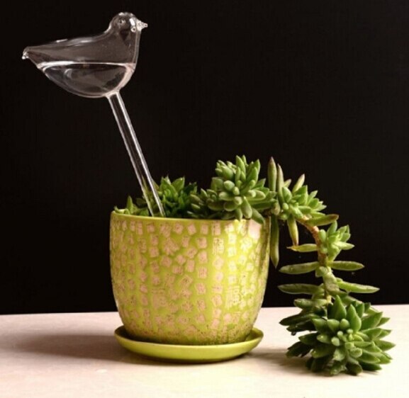 Automatische glazen plantenbak, bloemen, zelfbewaterende watertoevoer, vogelhuisje, waterbak, waterkannen, 6 soorten