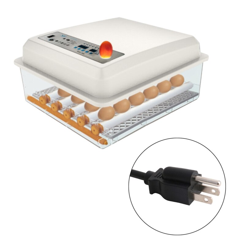 Incubadora automática de 9 huevos, termostato de incubación de aves con pantalla Digital, herramienta de incubación de granja: US