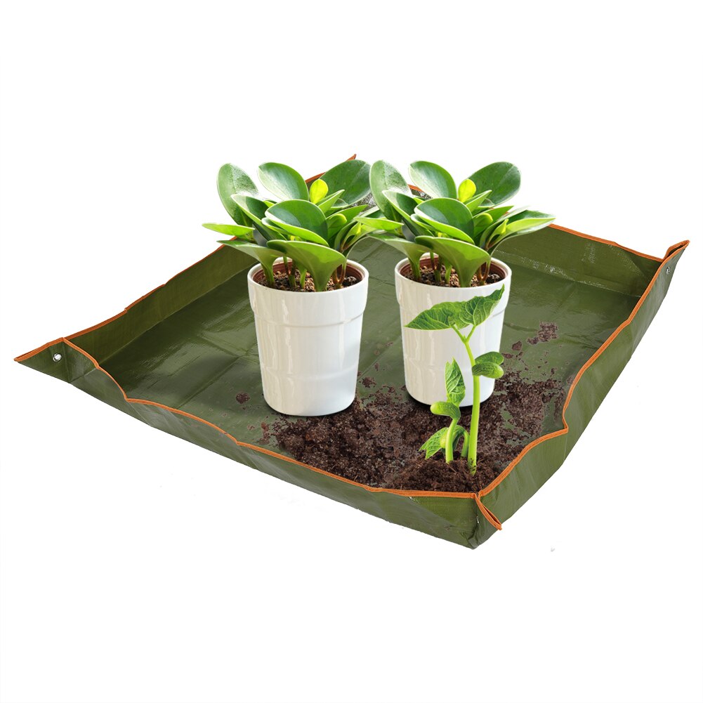 Trädgårdsplanta plantor repotting bricka inomhus transplantation drift snyggt blomkrukmatta