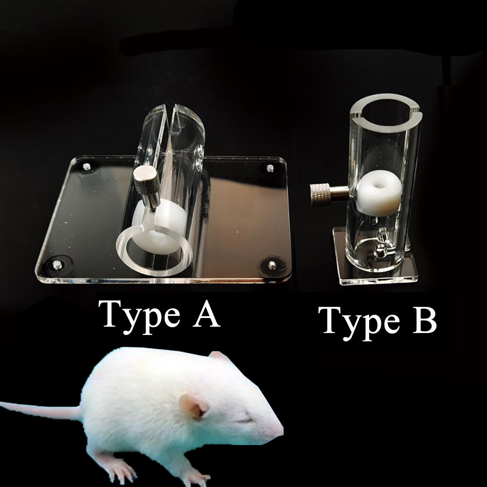 1PCS Mouse Fixation Device Rat 15g 25g 50g 180g 250g Transparent Vertical Science Laboratory Lab Tools Supplies