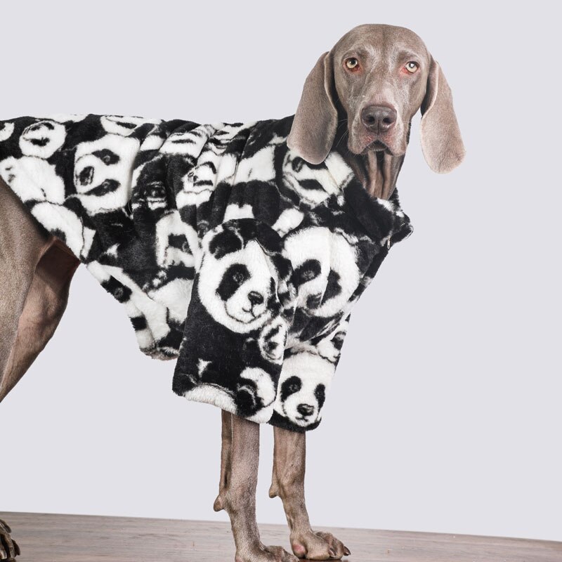 Veste rembourrée pour chien, manteau , Golden Retriever, Labrador, Doberman, vêtements d&#39;hiver pour grands chiens, accessoires pour chiens: large dog 7