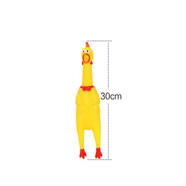 3dRose Bügelbild „Huhn“ – Wärmeübertragung Für T-Shirts & Stoffe – 25,4 Cm – Mehrfarbig