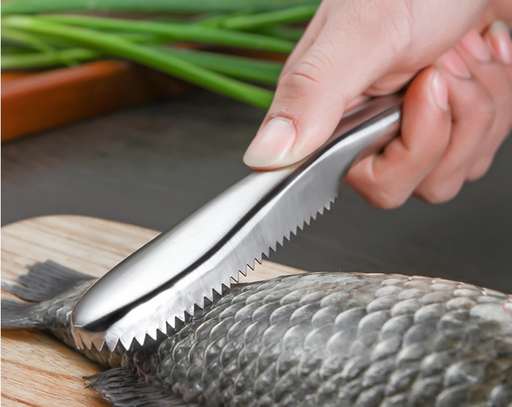 Détartreur de brosse, Gadget de cuisine, dissolvant la peau de poisson en acier inoxydable, détartrant les écailles de poisson, fruits de mer