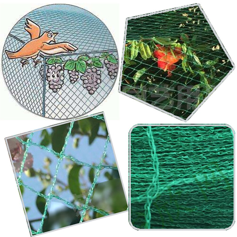 Filet Anti-oiseau serre potager arbre fruits maille filet évent couverture