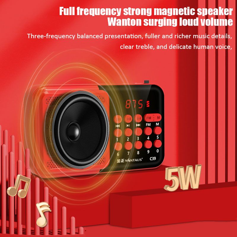 Mini FM Radio tragbare Radios Empfänger Bluetooth Stereo Lautsprecher MP3-Player mit Mikrofon/LCD-Display Unterstützung TF-Karte Kopfhörer spielen