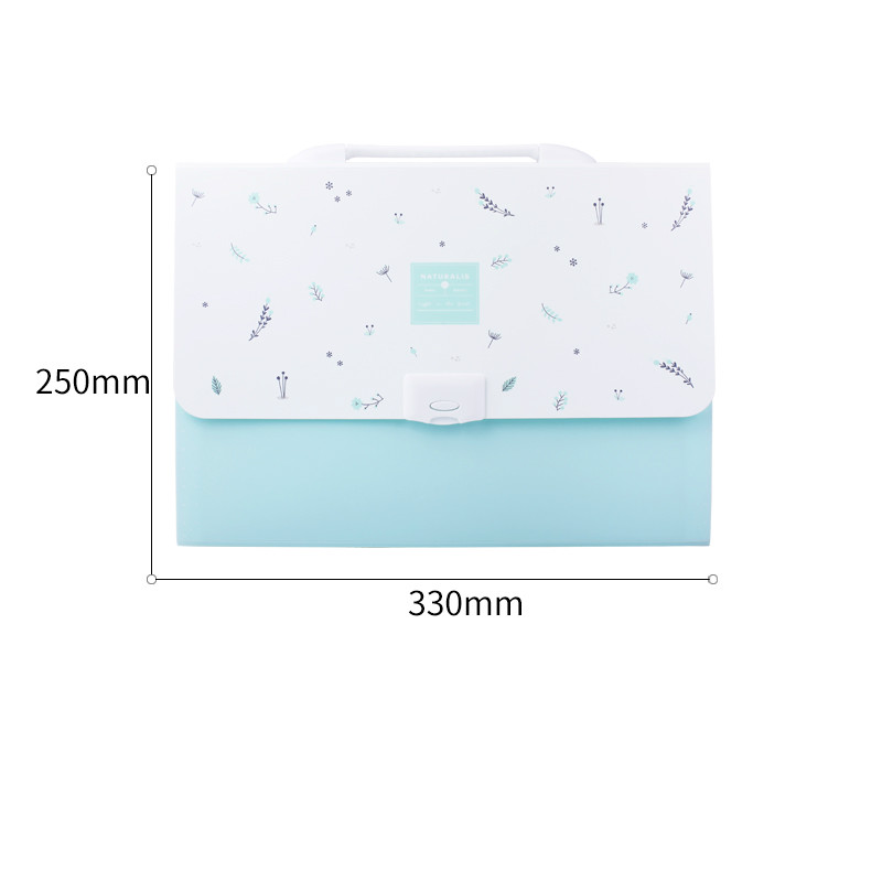 DELI Folder Student Expanding Wallet Office File Folder Document Bag Pupil Kawaii Display Book Test Paper Folder Filing Products: B
