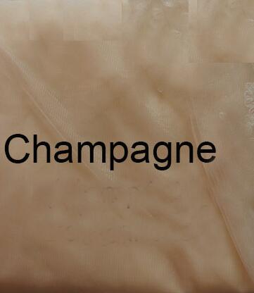 Plain Tule Bruiloft Sluier Zachte 2 Lagen Bridal Veil Met Metalen Kam 2T Cover Gezicht Sluier Accessoires: Champagne