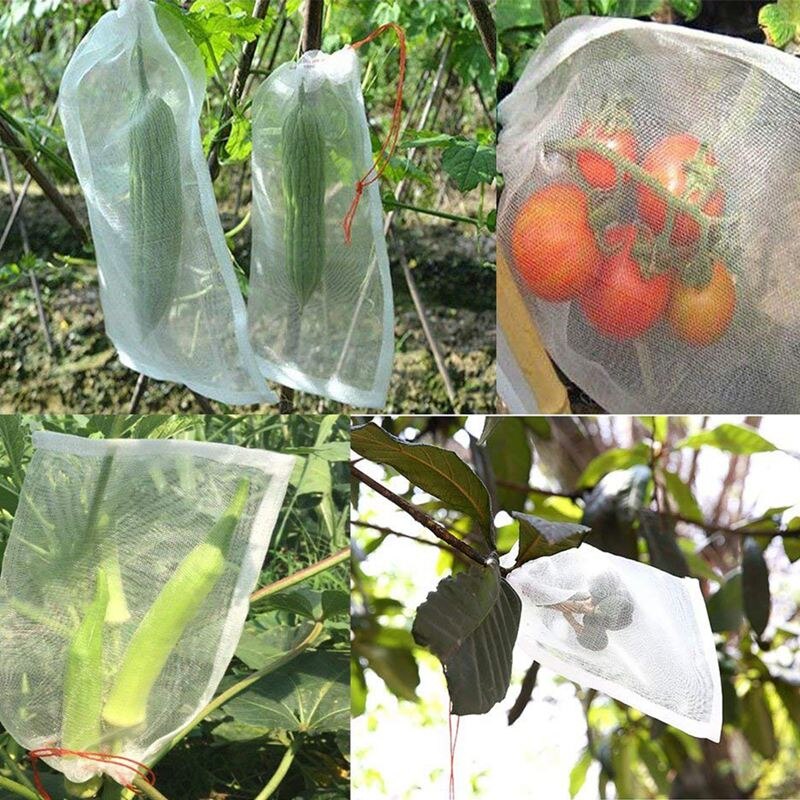 100Pcs Plant Protect Bag, Garden Netting Bag Insec... – Vicedeal