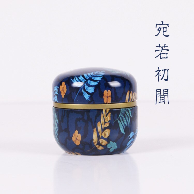 Tea Tin Box General Tinplate Household Sealed Tea Packaging Box Carrying Small Tin Cans for Japanese Scented Tea: Style 7