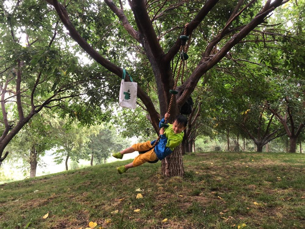 200cm Kids Climbing Rope Tree Swing Preshool Sensory Toys Kid Outdoor Toy Swings Set Home Climbing Equipment Load Bearing 150kg