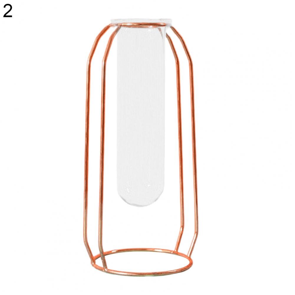 Glass Vase	Hydroponics Terrarium Portable Reusable Glass Air Plant Terrariums Propogation Station Home Decor: Rose Gold  2