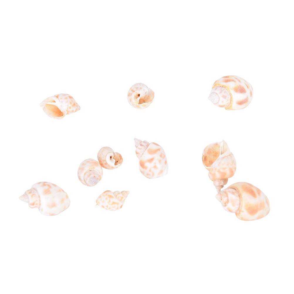 Aquarium Gemengde Bulk Schelpen Sier Strand Shell Tafel DIY Decor Craft