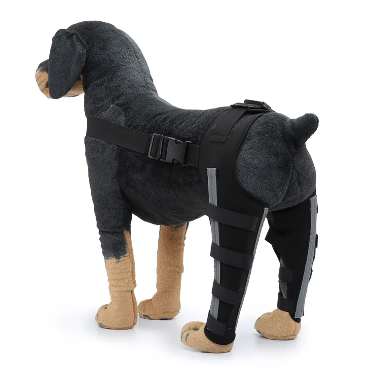 Pet Puppy Knee Pads Dog Back Leg Braces for Injured Dogs Support Brace Injury Joint Wrap Recover Protector Dog Accessories: L / Red