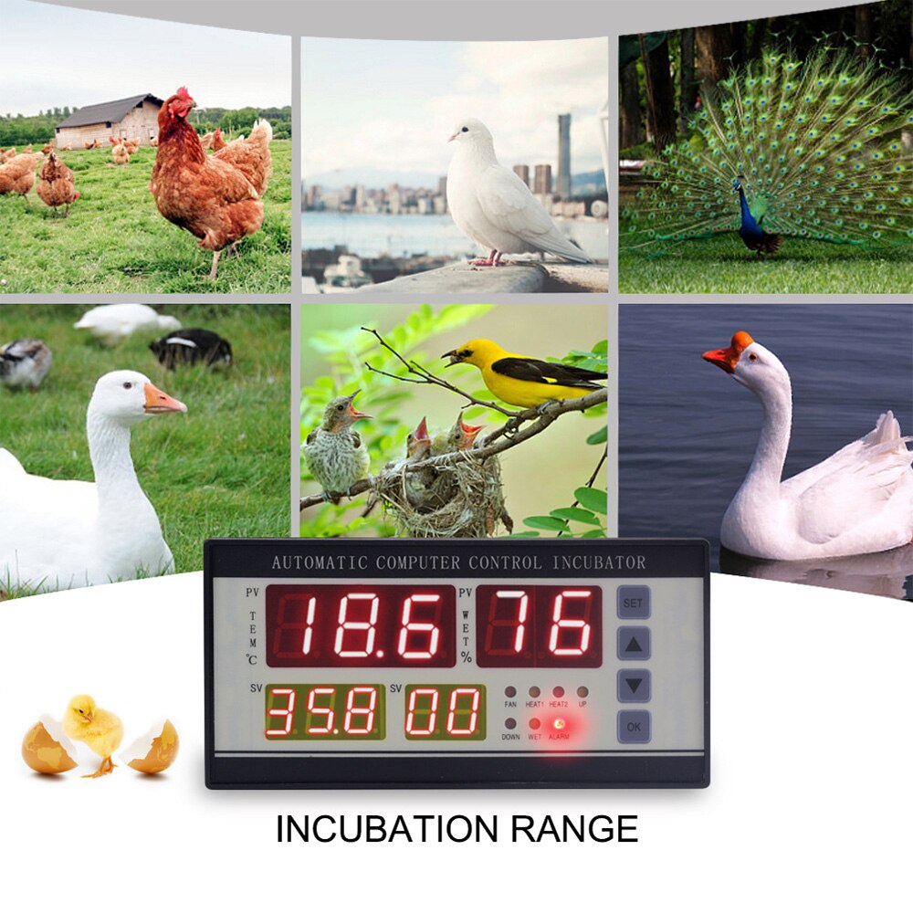 Automatic Egg Incubator Controller High-Precision Temperature Humidity Sensor Eggs Incubator Brooder Bird Chick Hatchery Tool