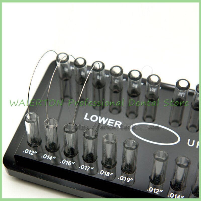 Dental Acrylic Organizer Holder for Orthodontic Rectangular Arch wires Case