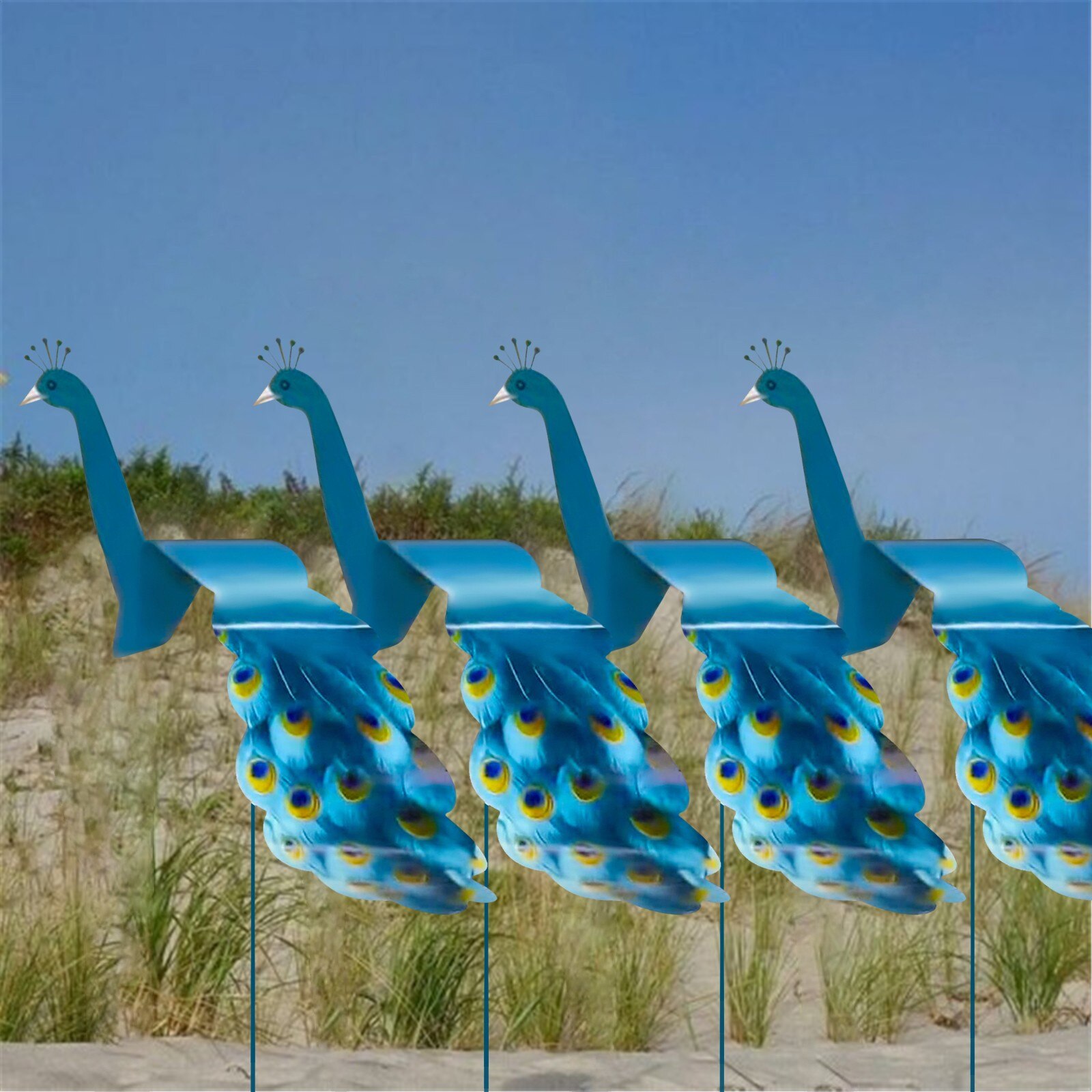 Swirl Bird A Whimsical And Peacock That Spins With... Grandado