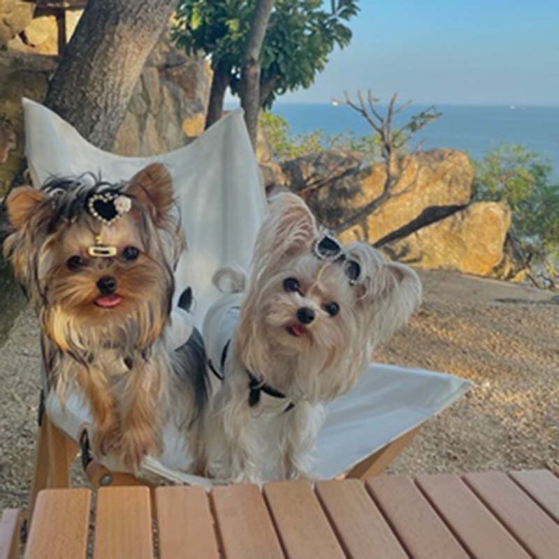 Pet Accessories Handmade Pet Headwear Dog Head Flower Teddy Yorkshire Maltese Pearl Flash Diamond Sunglasses Puppy Supplies