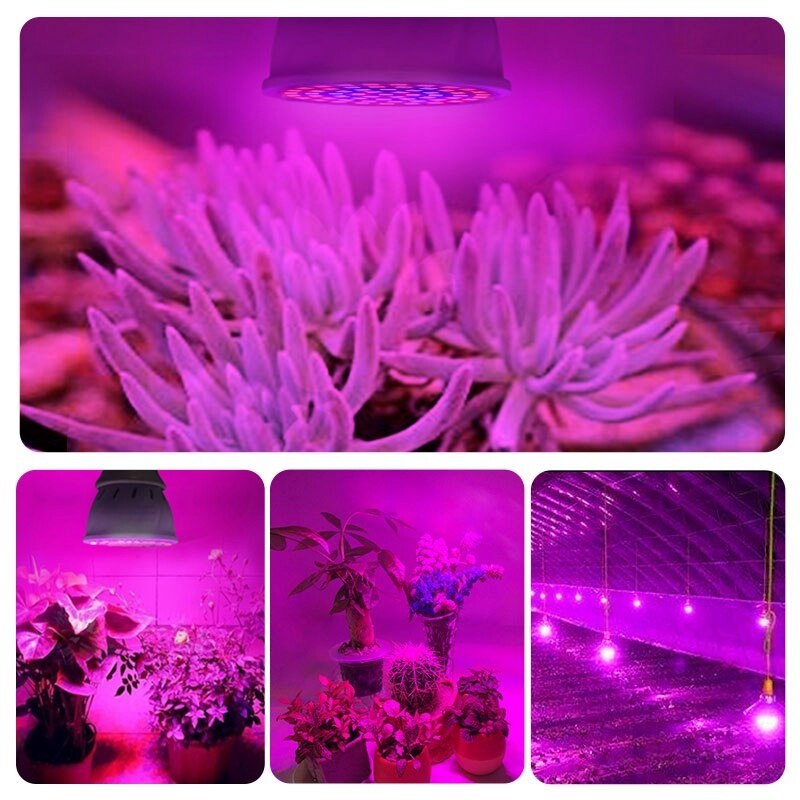 Led vokse pære fuldt spektrum  e27 e14 48/60/80 led hydroponisk blomst såning veg vækst lampe plante vokse lys hjem drivhus