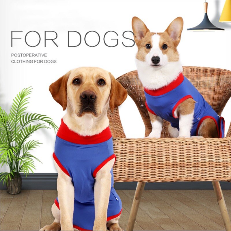 Pet Surgery Recovery Clothes Postoperative Care Clothes Nursing Clothes Anti-Licking Pet Clothes Clothes Blue