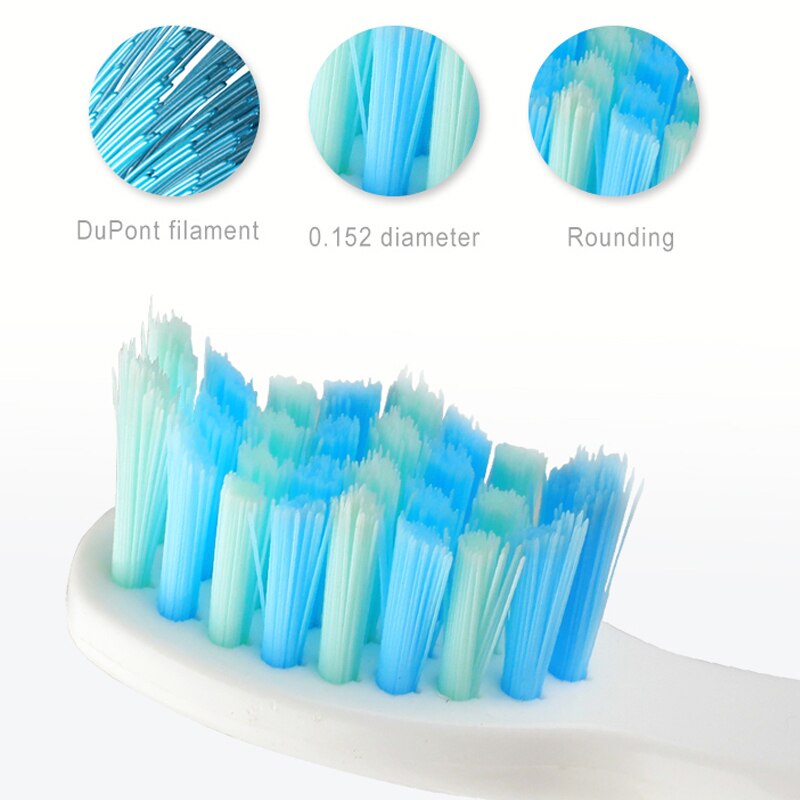 Seago sonic elektrisk tandbørste usb genopladelig med voksne 5 udskiftningshoveder til sort hurtig start timer tandbørste
