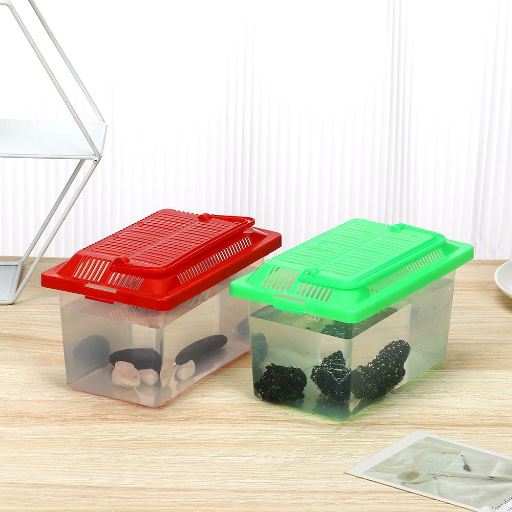 Bærbar mini akvarie akvarium kæledyrs opdræt firkantet boks til krybdyr transport hamster avl og klatring skildpadde formet boks