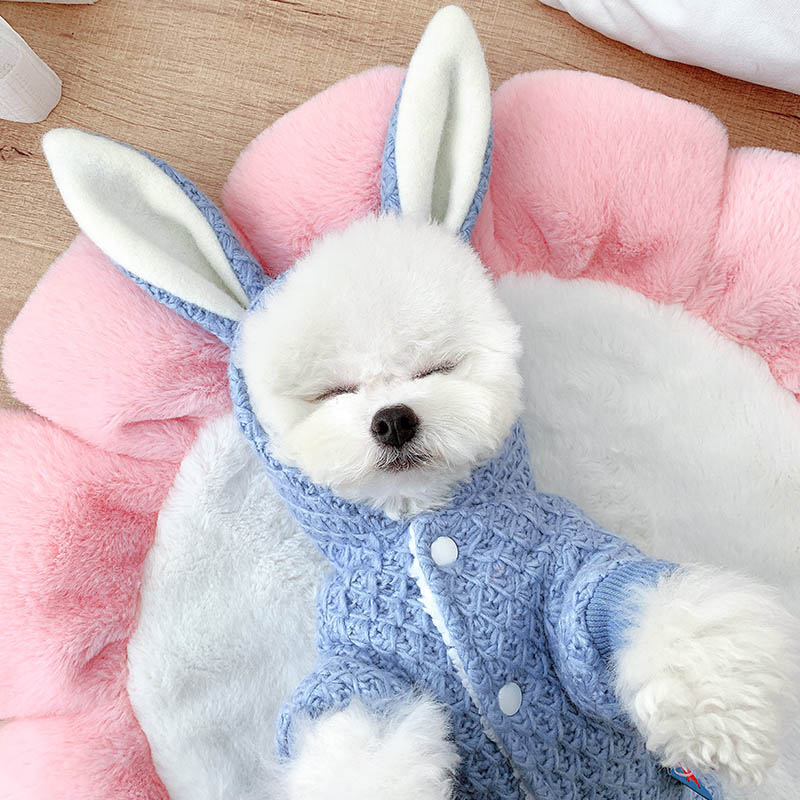 Épais chien vêtements hiver animaux chiens vêtements grand lapin oreille vêtements pour animaux de compagnie pour petits chiens moyens manteau veste produits pour animaux de compagnie York