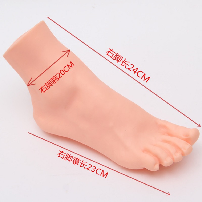 CAMMITEVER Man Right Foot Mannequins for Male Shoes Display Yellow Feet Sox Socks Show Mannequin Model