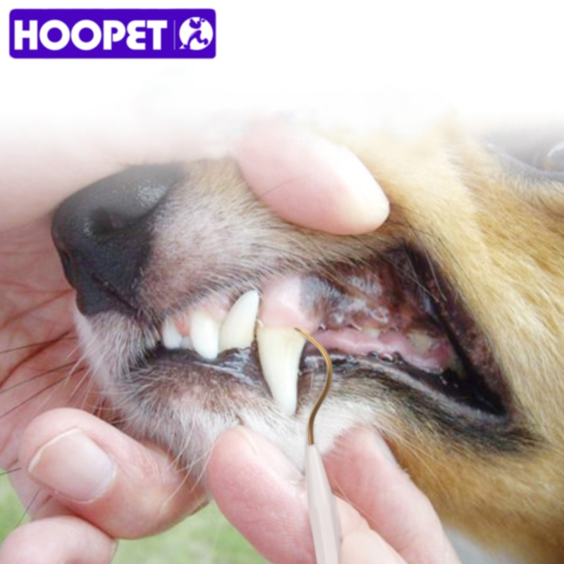 HOOPET Hond tweekoppige Tand Schraper Hond Reinigt de Tanden en Vlekken de Getande Schoonmaken Tool