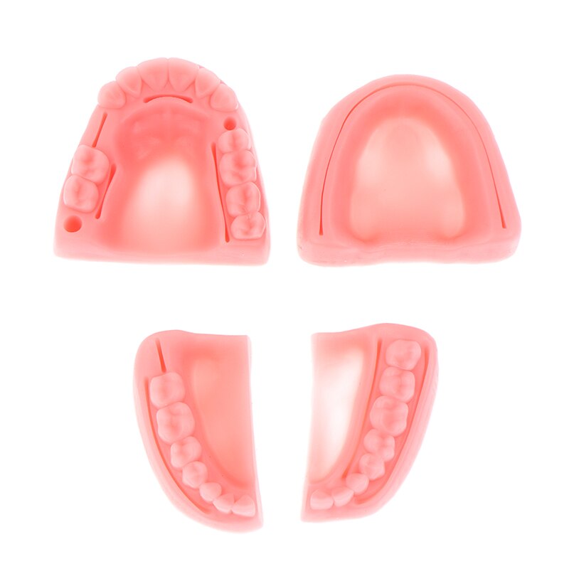 Simulación Dental, modelo de sutura oral, sutura de goma, equipo de entrenamiento para enseñanza, práctica de habilidades, 4 unids/set por Set