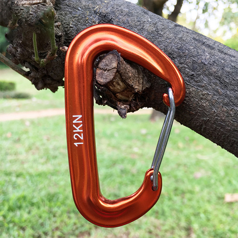 12KN Kleine klimkarabijnhaak D-vorm Bergbeklimmen Gesp Haak Veiligheidsslot Outdoor Camping Wandelen Sleutelhanger