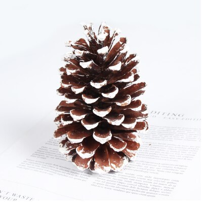 Foto rekvisitter tørrede blomster retro pinecone ornamenter placeret ornamenter jul udgør baggrund klud dekoreret mad fotografering: 1 stk (12-14cm) hvide