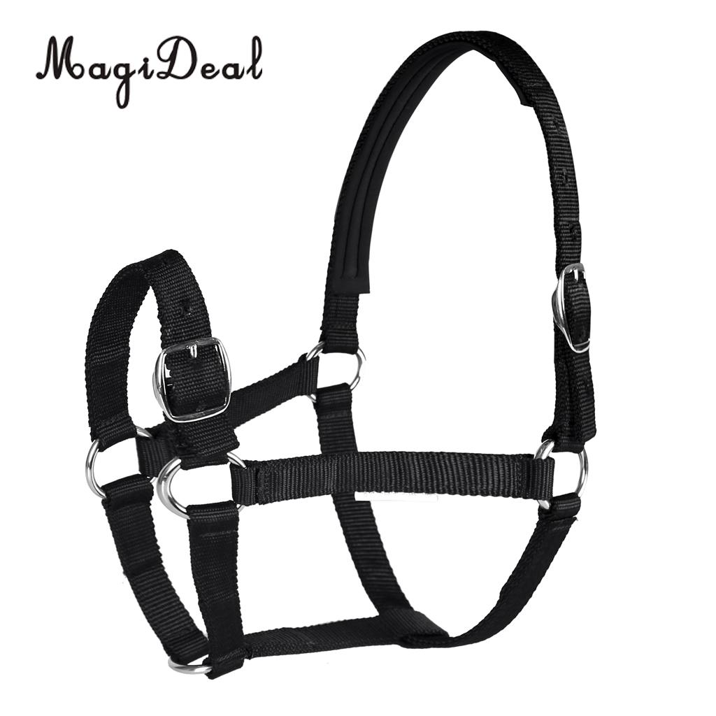 Adjustable Equestrian Western Horse Halter Fits 130cm - 165cm Horse Black/Blue/Red: Black