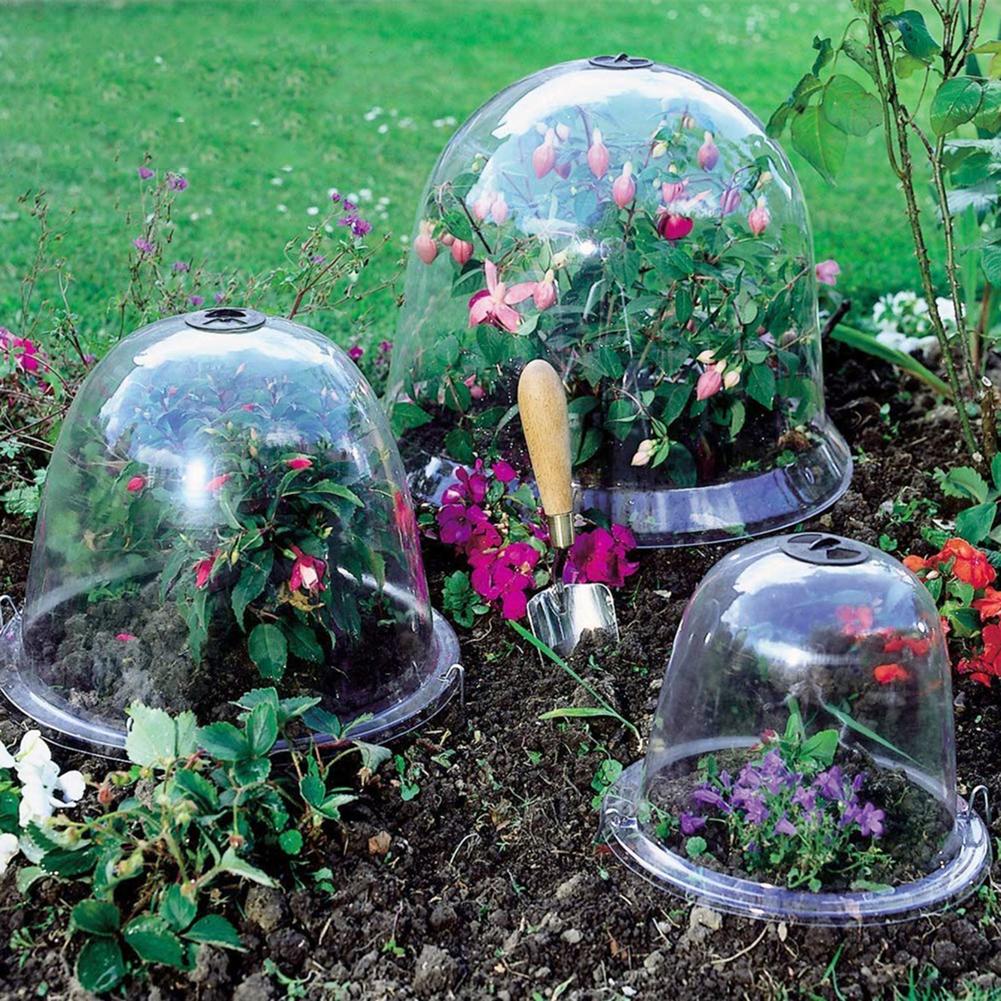 Cloche de plástico para jardín, cubierta de campana para plantas, protector contra heladas, plántulas hidropónicas, 5 piezas